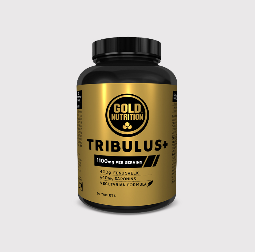 TRIBULUS + - 60 TABS